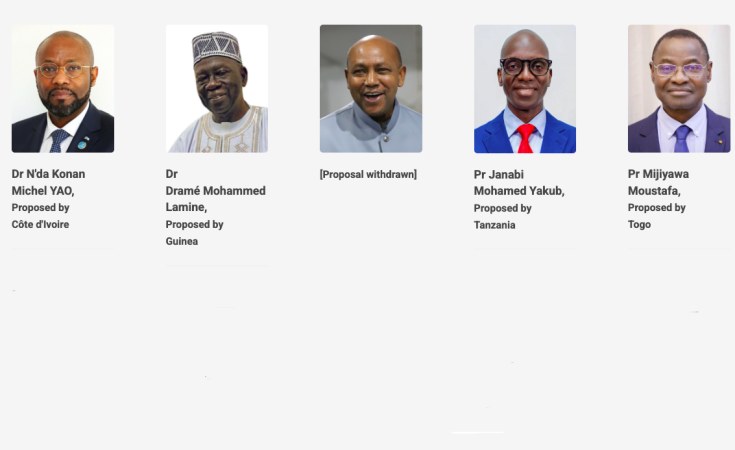 World Health Organization Africa (Brazzaville)